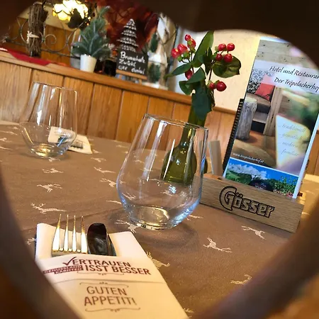 Hotell Der Troepolacherhof & Restaurant 3*