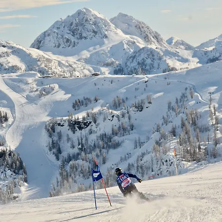 Hotell Der Troepolacherhof & Restaurant 3*