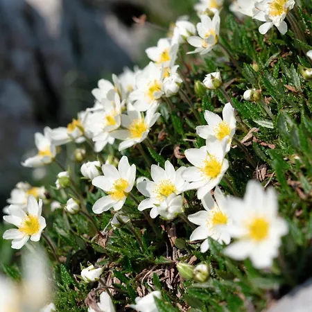 Hotell Der Troepolacherhof & Restaurant