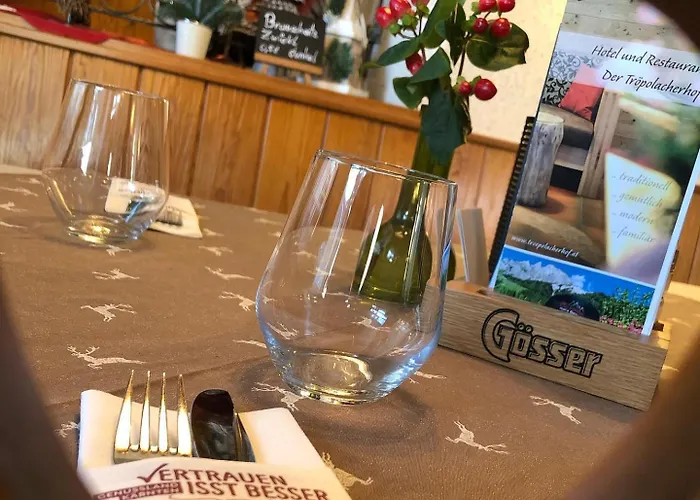 Hotel Der Troepolacherhof & Restaurant 3*